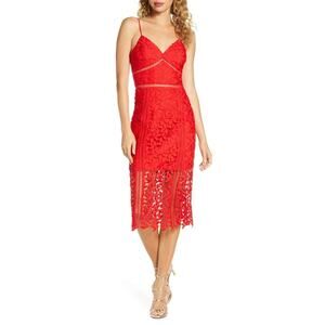 Bardot Roxy Lace Dress, Size 8